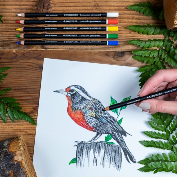 Lumocolor Farveblyant