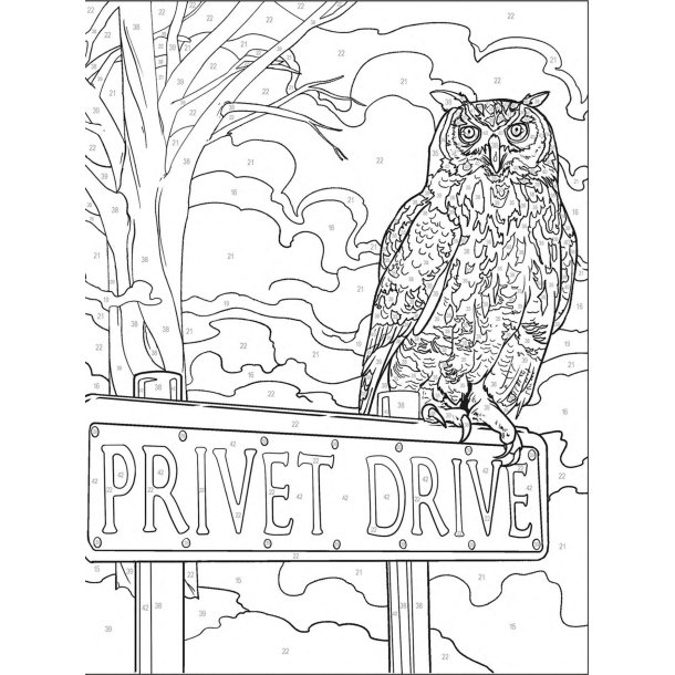 Disney Paint-by-Numbers - Harry Potter