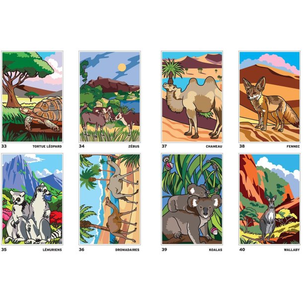 Paint-by-Numbers - Safari 
