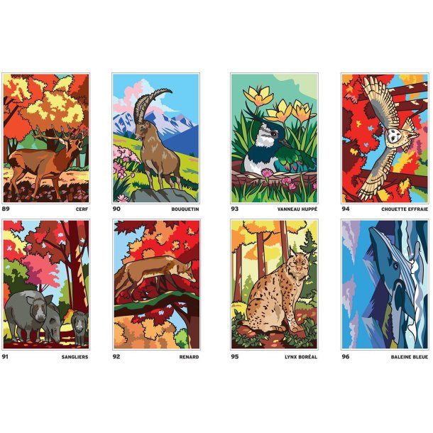 Paint-by-Numbers - Safari 