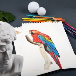 Mobee - Farveblyanter 12-Pak