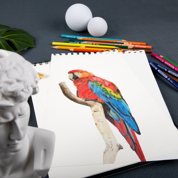 Mobee - Farveblyanter 12-Pak