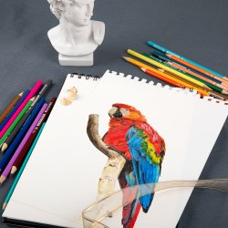 Mobee - Farveblyanter 12-Pak