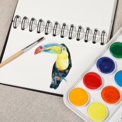 Mobee Akvarelst i Plastikske - 12-Pak