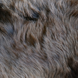 gte Lammeskind 60x90cm - Brun