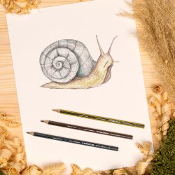 Noris Farveblyanter - 24-Pak