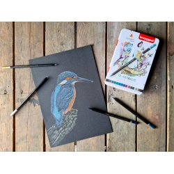 Bruynzeel Expression Farveblyanter Metallic 12-Pak