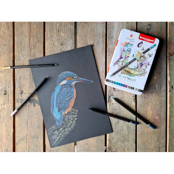 Bruynzeel Expression Farveblyanter Metallic 12-Pak