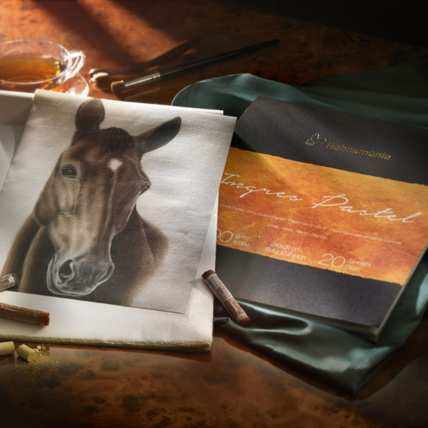 Hahnem&uuml;hle Ingres Pastelpapir