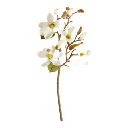 Magnolia Gren 52cm - Hvid