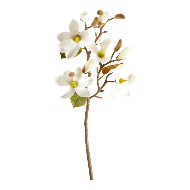 Magnolia Gren 52cm - Hvid