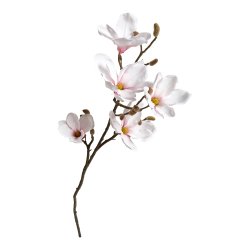 Magnolia Gren 92cm - Rosa
