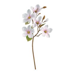Magnolia Gren 52cm - Rosa