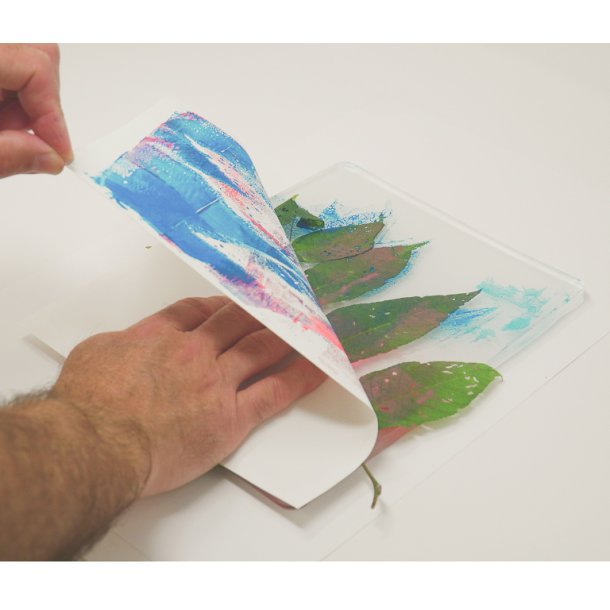 Gel Plate 30,48 x 35,56 cm