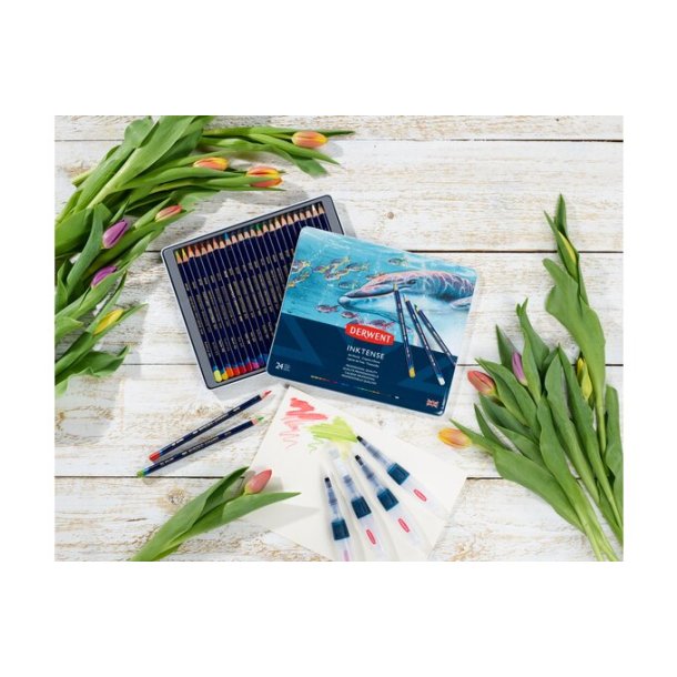 Derwent Inktense Blyanter, 24-Pak