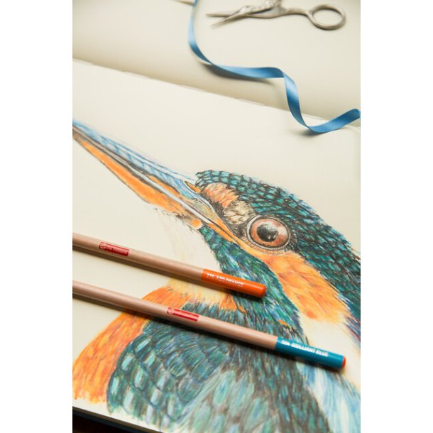 Talens Farveblyanter 12-pak