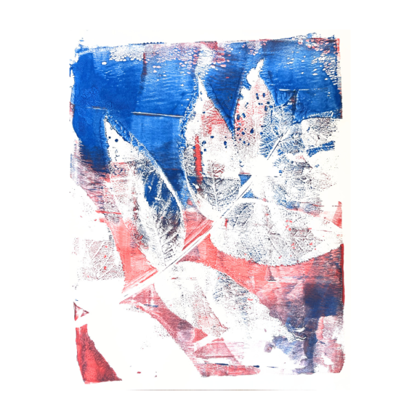 Gel Plate 12,7 x 17,78 cm