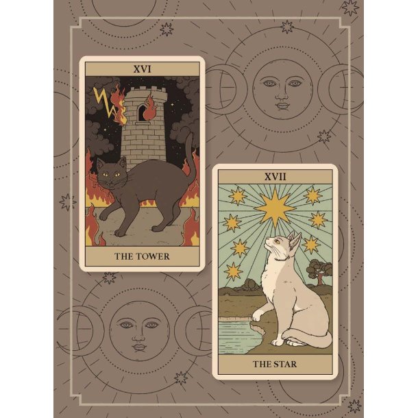  Cats Rule the Earth Tarot: 78-Card Deck and Guidebook for the Feline-Obsessed