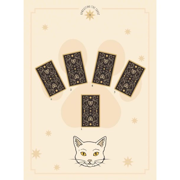  Cats Rule the Earth Tarot: 78-Card Deck and Guidebook for the Feline-Obsessed