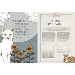 Mystic Kitty: A Cat's Guide to Meditation (Cats Rule the Earth Tarot)