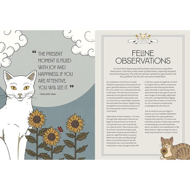 Mystic Kitty: A Cat's Guide to Meditation (Cats Rule the Earth Tarot)