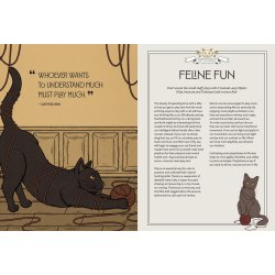 Mystic Kitty: A Cat's Guide to Meditation (Cats Rule the Earth Tarot)