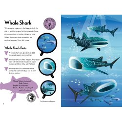 Fantastic Fearsome Sharks STEM Book + Model Kit
