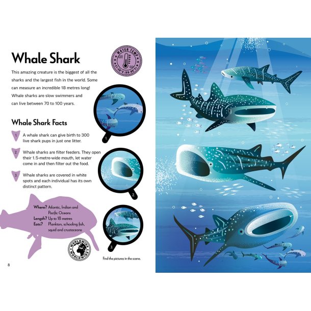 Fantastic Fearsome Sharks STEM Book + Model Kit