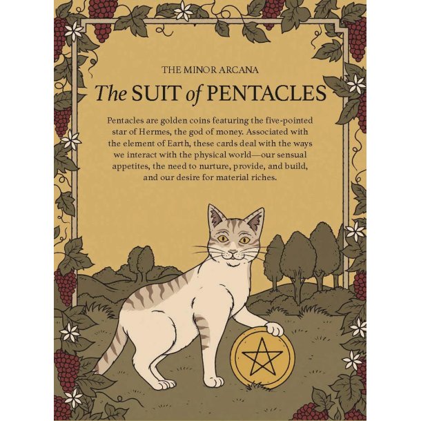  Cats Rule the Earth Tarot: 78-Card Deck and Guidebook for the Feline-Obsessed