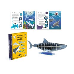 Fantastic Fearsome Sharks STEM Book + Model Kit