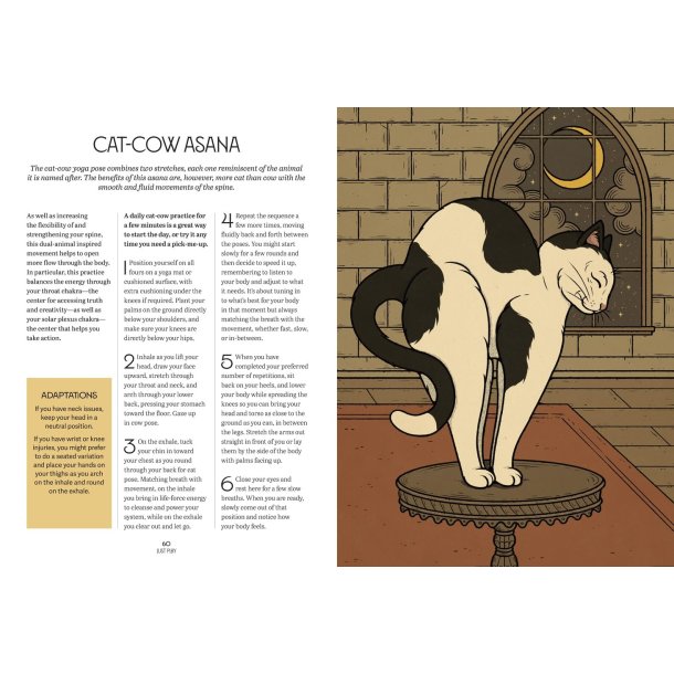 Mystic Kitty: A Cat's Guide to Meditation (Cats Rule the Earth Tarot)