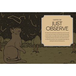 Mystic Kitty: A Cat's Guide to Meditation (Cats Rule the Earth Tarot)