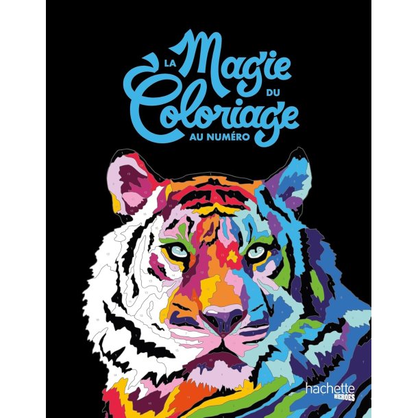 The Magic of Color-by-Number