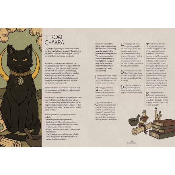 Mystic Kitty: A Cat's Guide to Meditation (Cats Rule the Earth Tarot)