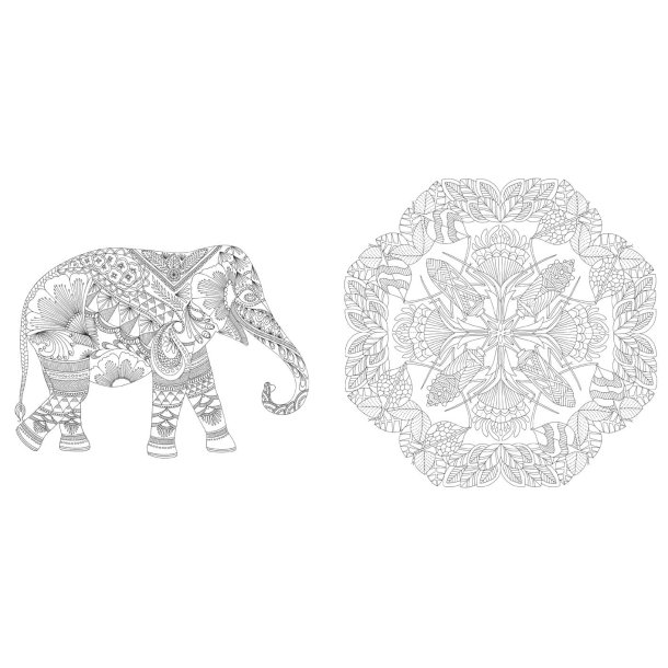 Millie Marotta's Wildlife Wonders