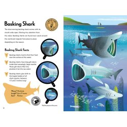 Fantastic Fearsome Sharks STEM Book + Model Kit
