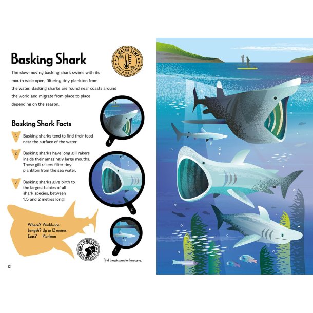 Fantastic Fearsome Sharks STEM Book + Model Kit
