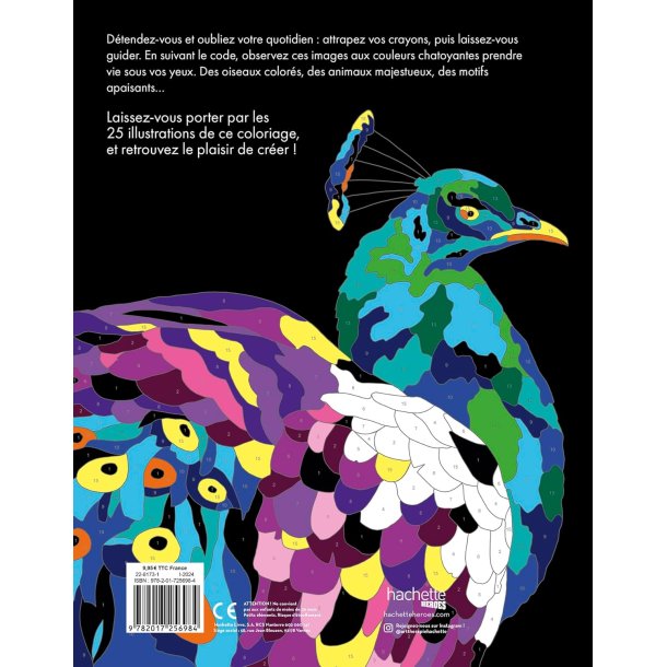The Magic of Color-by-Number