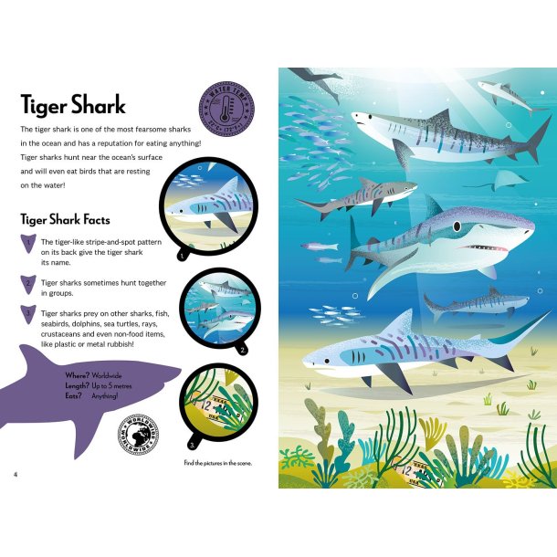 Fantastic Fearsome Sharks STEM Book + Model Kit
