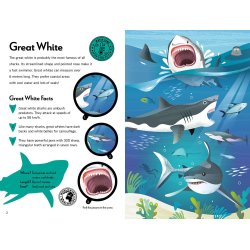 Fantastic Fearsome Sharks STEM Book + Model Kit
