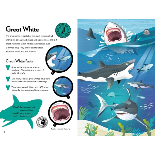 Fantastic Fearsome Sharks STEM Book + Model Kit