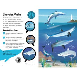 Fantastic Fearsome Sharks STEM Book + Model Kit