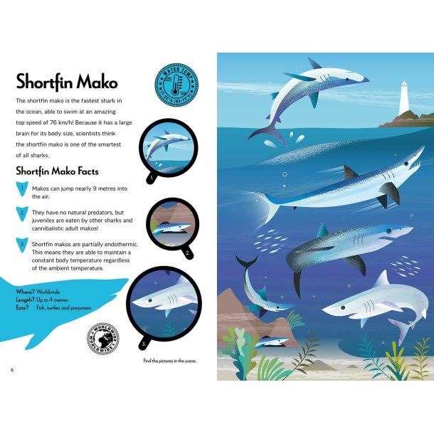 Fantastic Fearsome Sharks STEM Book + Model Kit