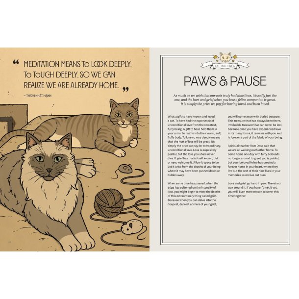 Mystic Kitty: A Cat's Guide to Meditation (Cats Rule the Earth Tarot)