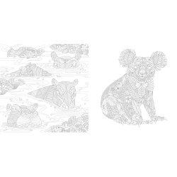 Millie Marotta's Wildlife Wonders