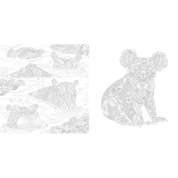 Millie Marotta's Wildlife Wonders