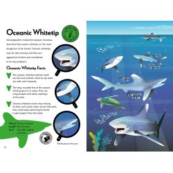 Fantastic Fearsome Sharks STEM Book + Model Kit