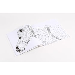Animorphia: An Extreme Coloring and Search Challenge