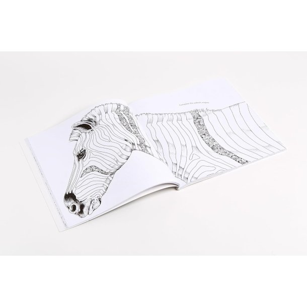 Animorphia: An Extreme Coloring and Search Challenge