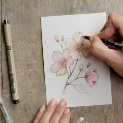 Sakura Gaves�t #1 - Kirseb�rblomst